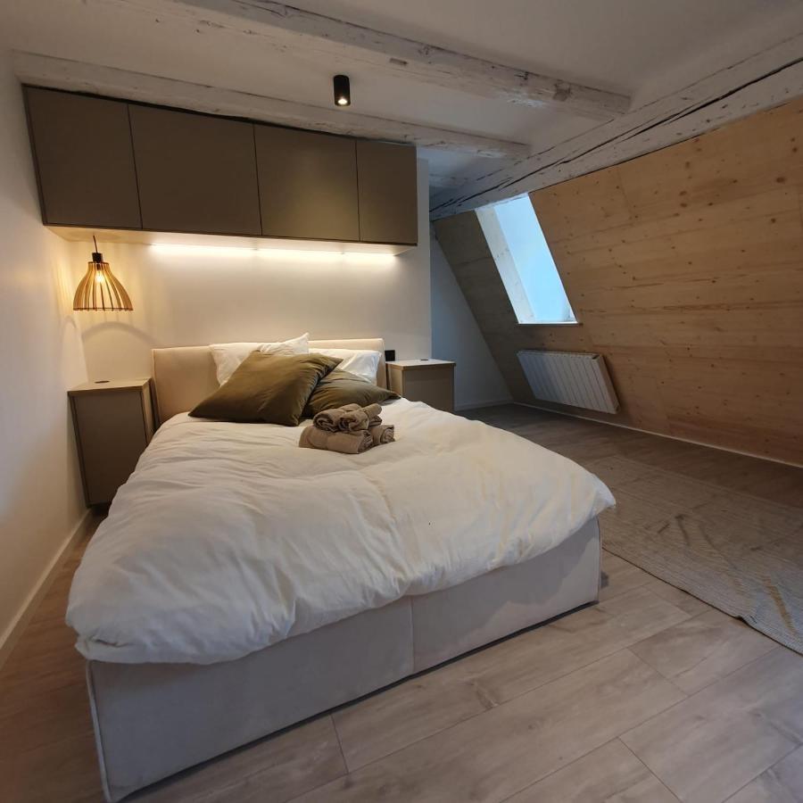 Les Appartements Hyper Centre Strasbourg Bagian luar foto
