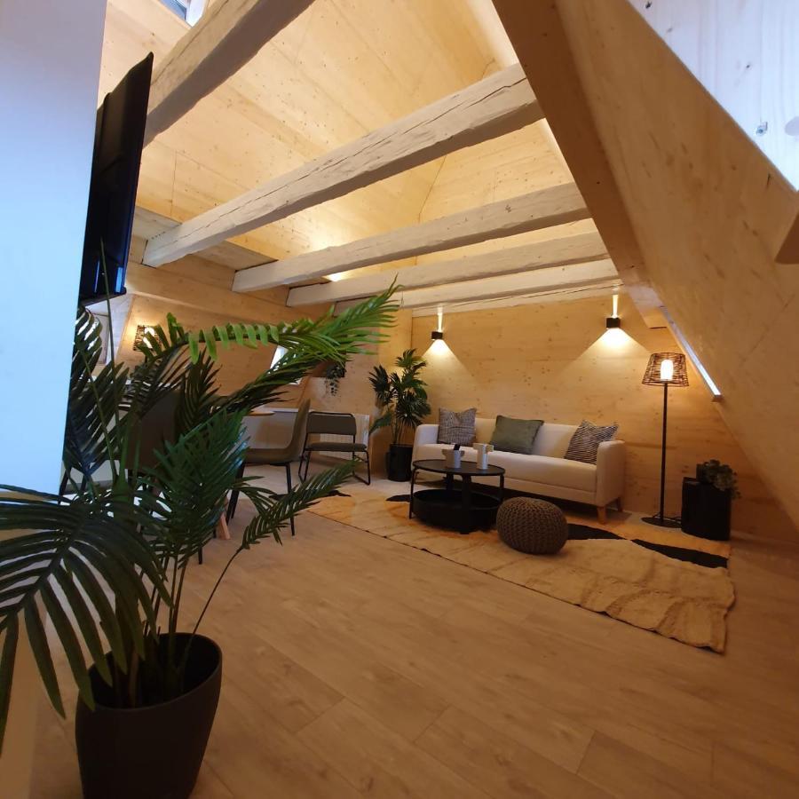 Les Appartements Hyper Centre Strasbourg Bagian luar foto